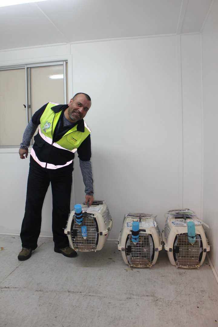 Imagen foto_00000003